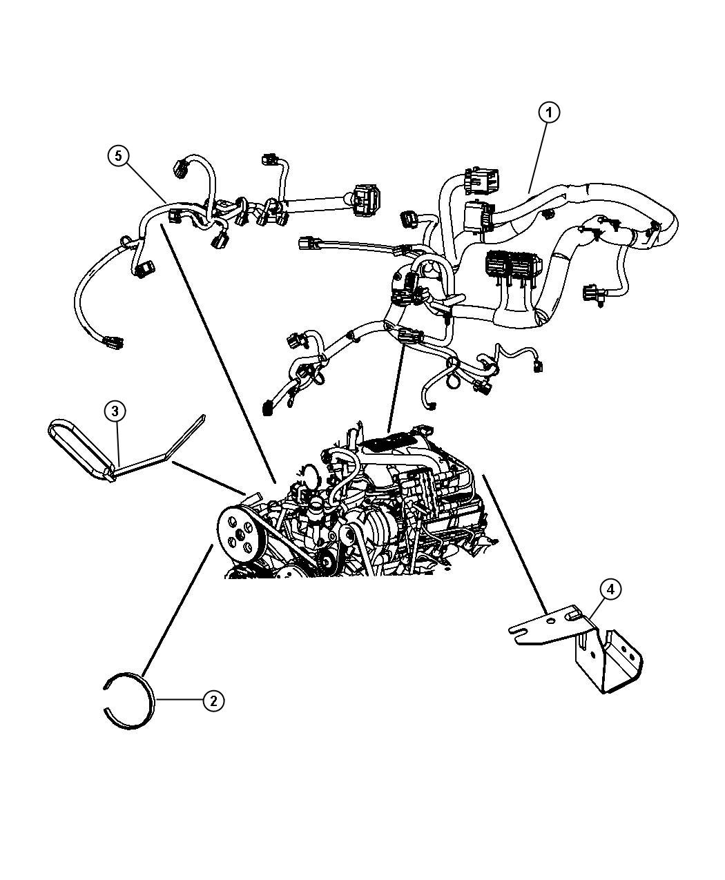 Jeep Wrangler Wiring. Injector. Up to 01/14/08  